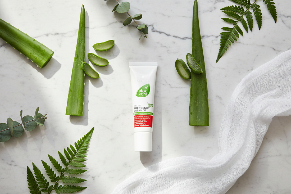 Gel Crème de Secours Aloe Vera LR Health & Beauty soin SOS apaisement instantané format pocket