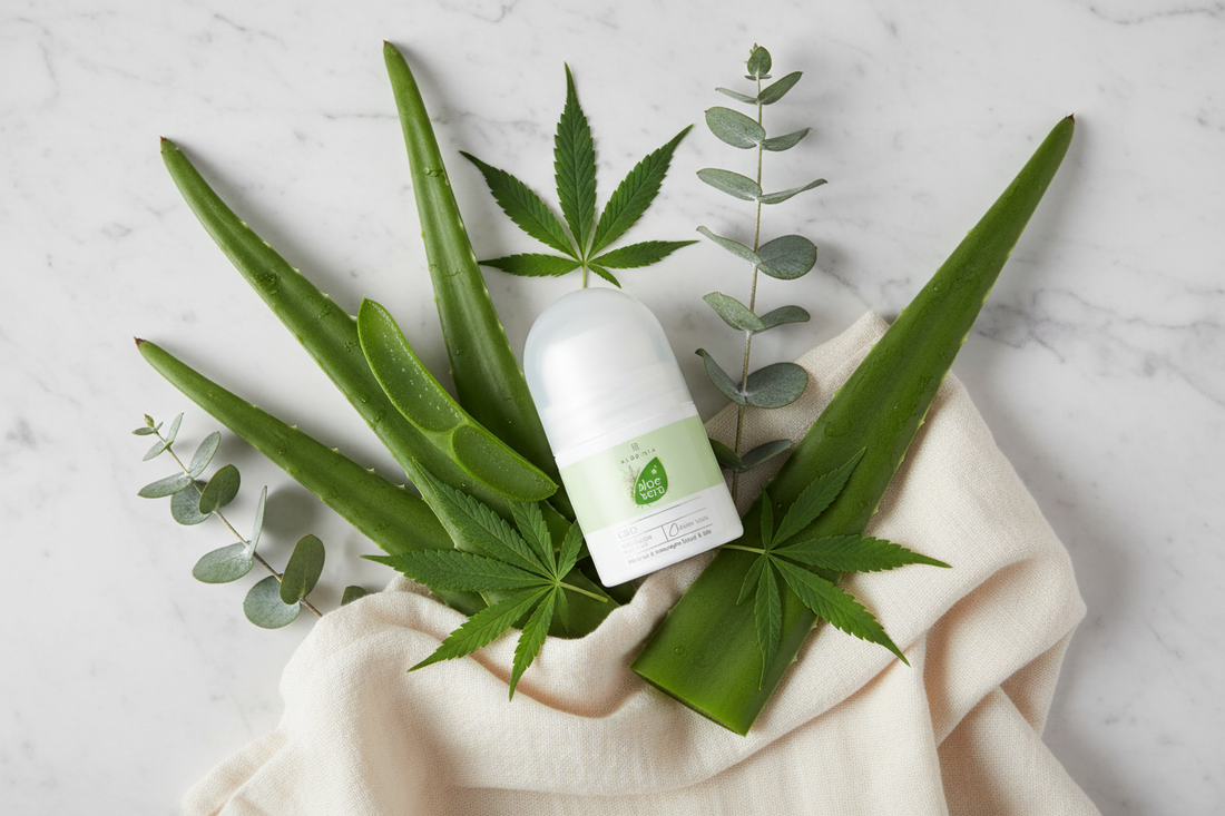 Roll-on massage CBD Aloe Vera LR : soulager muscles et articulations naturellement