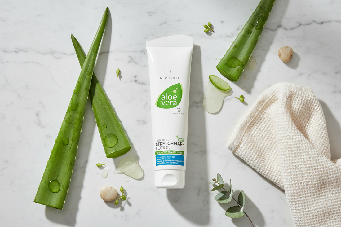 Aloe Vera et vergetures : prévenir et atténuer naturellement